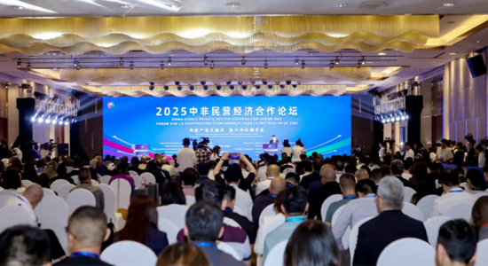 2025中非民营经济合作论坛在湖南长沙举办